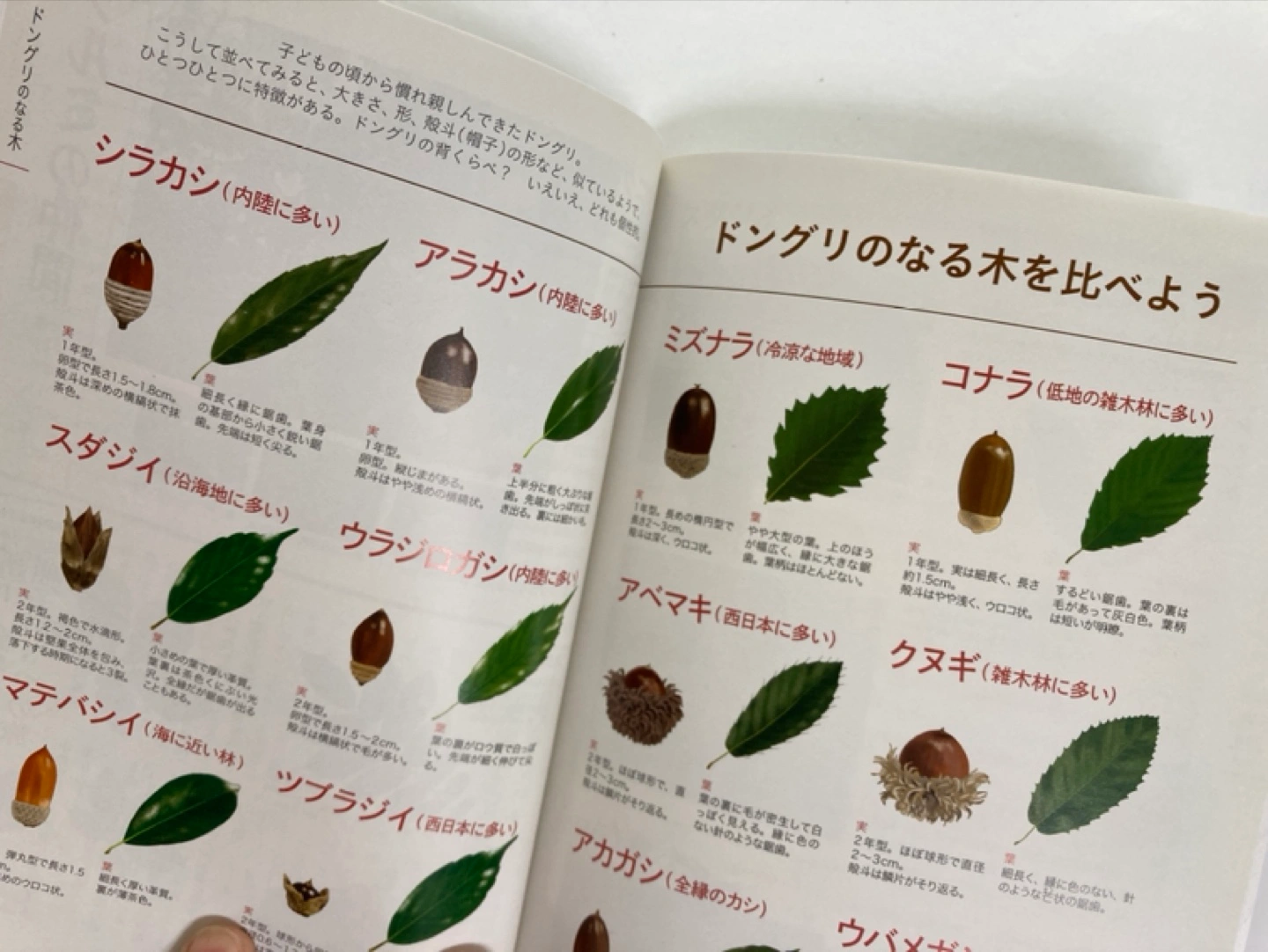 オールカラー 植物図鑑 定価1,540円の写真4枚目