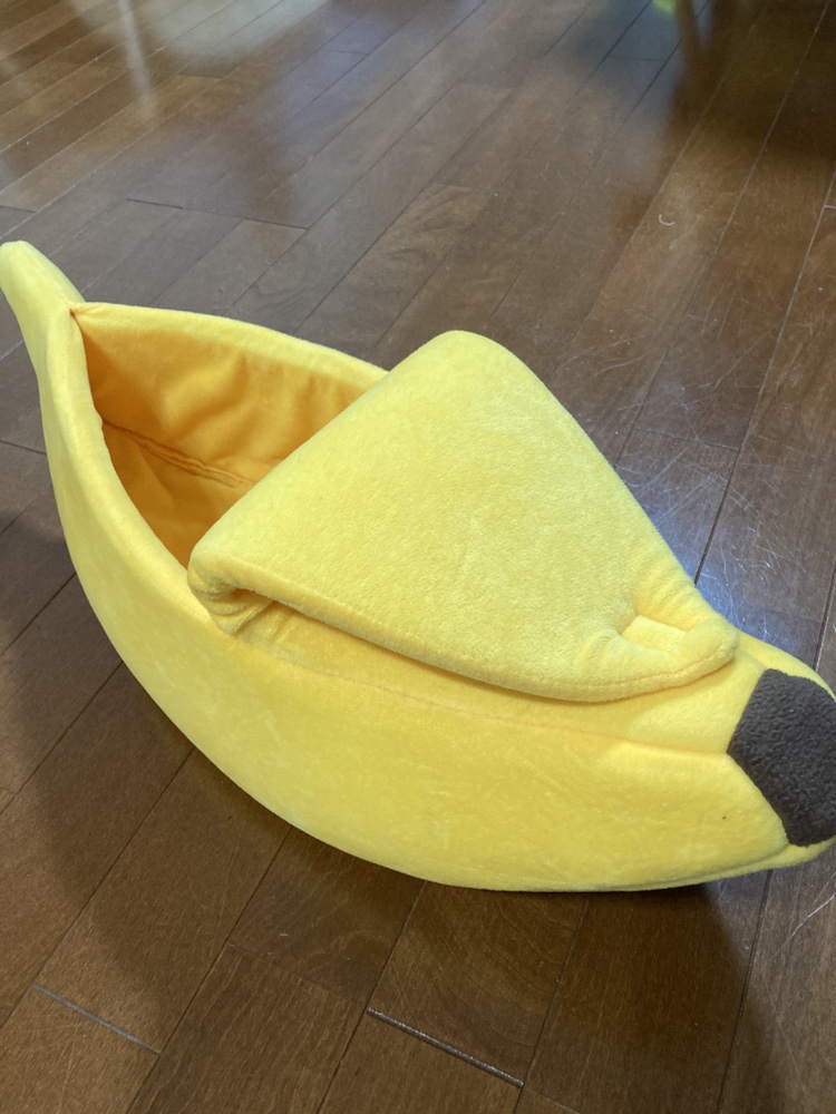 バナナのお家