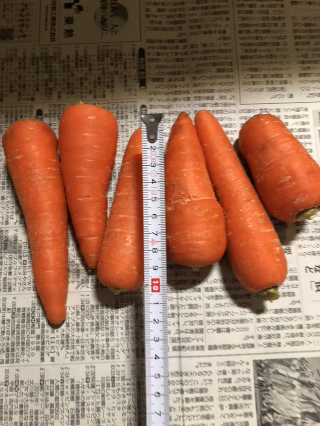 徳島の人参