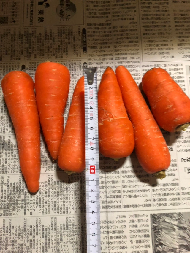 徳島の人参