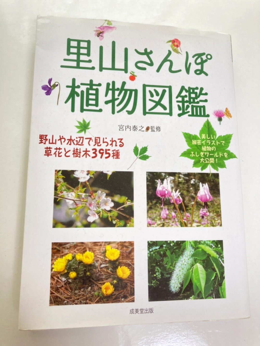 オールカラー 植物図鑑 定価1,540円