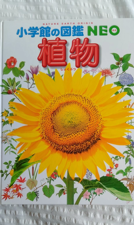 小学館 NEO 図鑑 植物