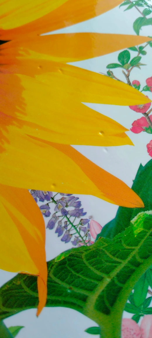小学館 NEO 図鑑 植物の写真2枚目