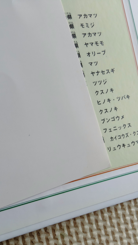小学館　NEO　図鑑　植物の写真5枚目