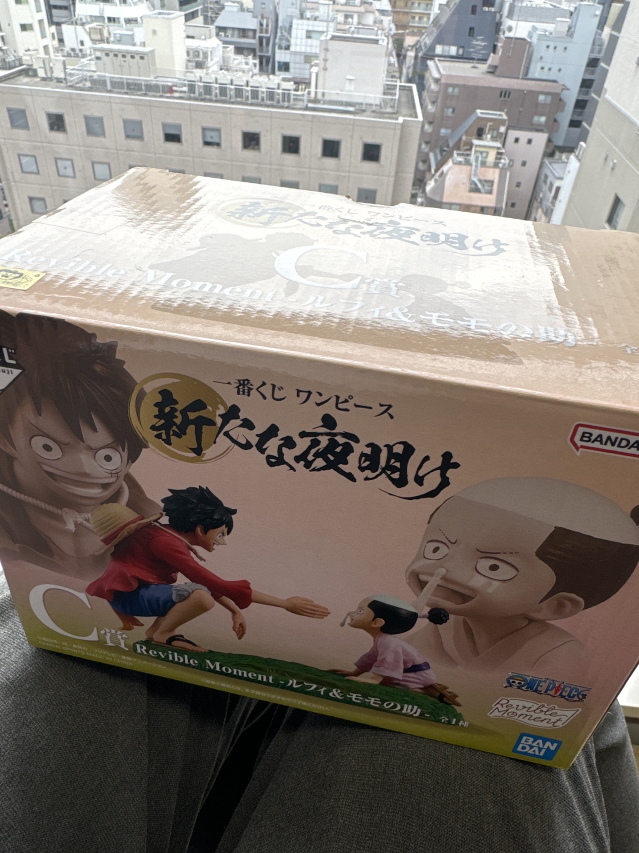 一番くじワンピース新たな夜明けC賞ルフィー&モモの助