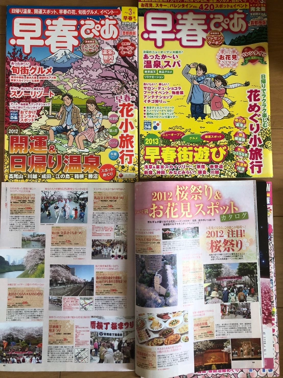 ぴあ 18冊 花火 イルミネーション イベント 紅葉 祭り 旅行 近旅 観光スポットの写真2枚目
