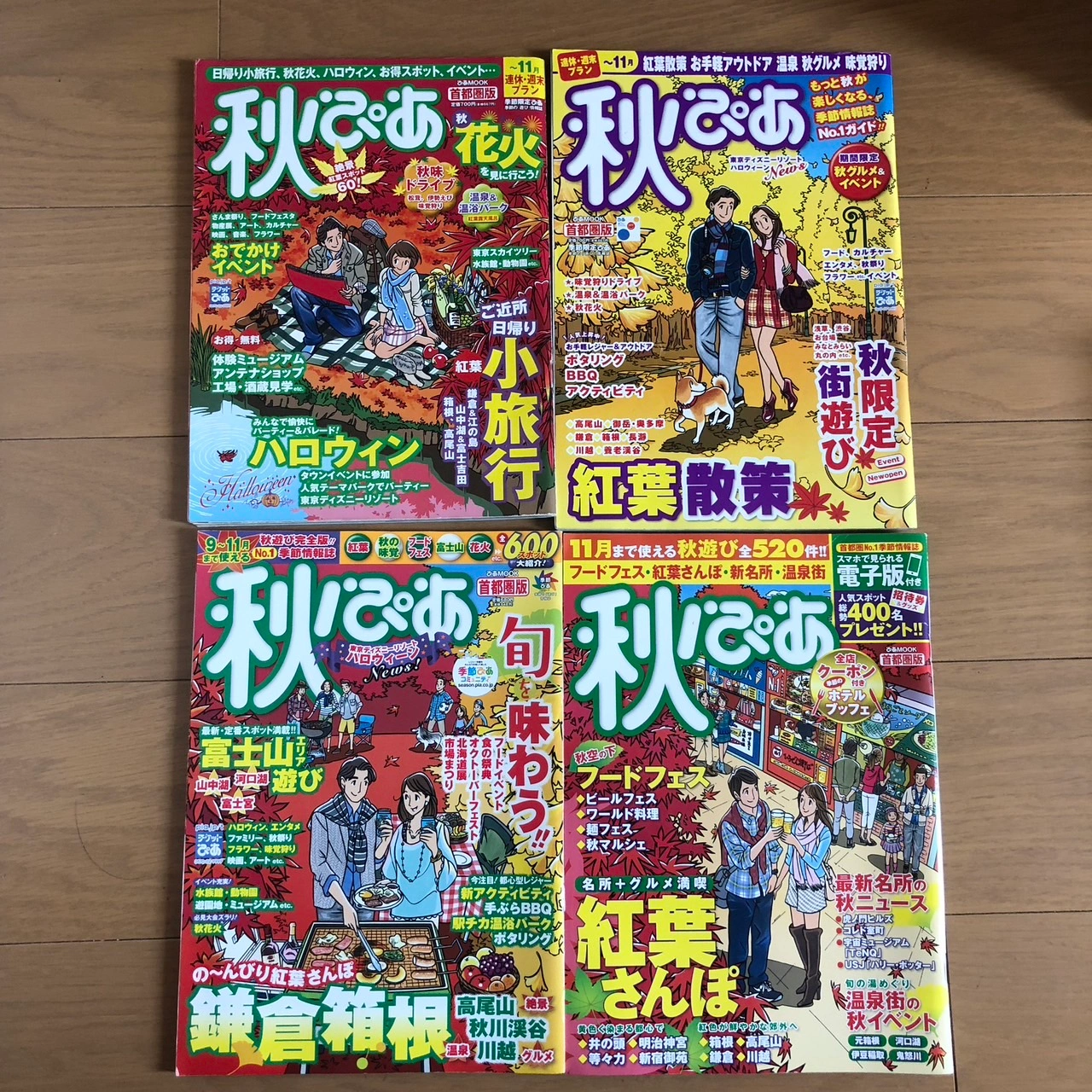 ぴあ 18冊 花火 イルミネーション イベント 紅葉 祭り 旅行 近旅 観光スポットの写真5枚目