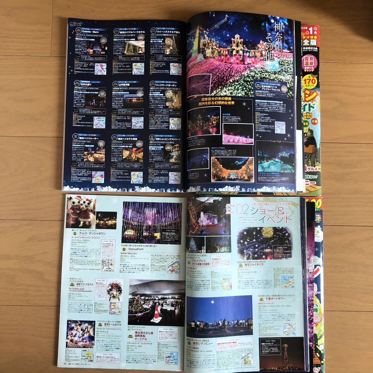 ぴあ 18冊 花火 イルミネーション イベント 紅葉 祭り 旅行 近旅 観光スポットの写真10枚目