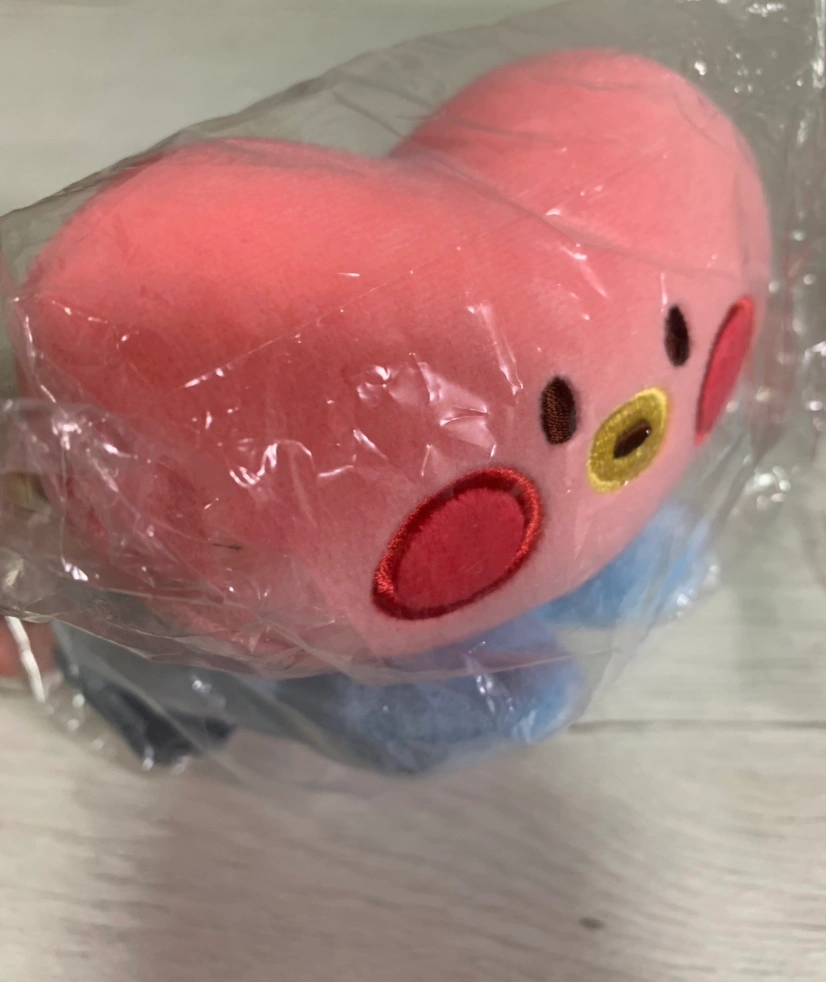 定価以下 公式新品 未使用 タタ TATA ぬいぐるみ スモール ラインフレンズ BTS テテ テヒョン V