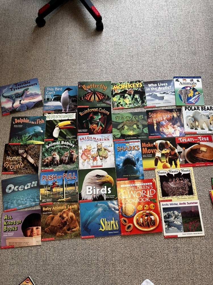 英語の本(子供用)　約24冊セットEnglish books for childrenの写真5枚目