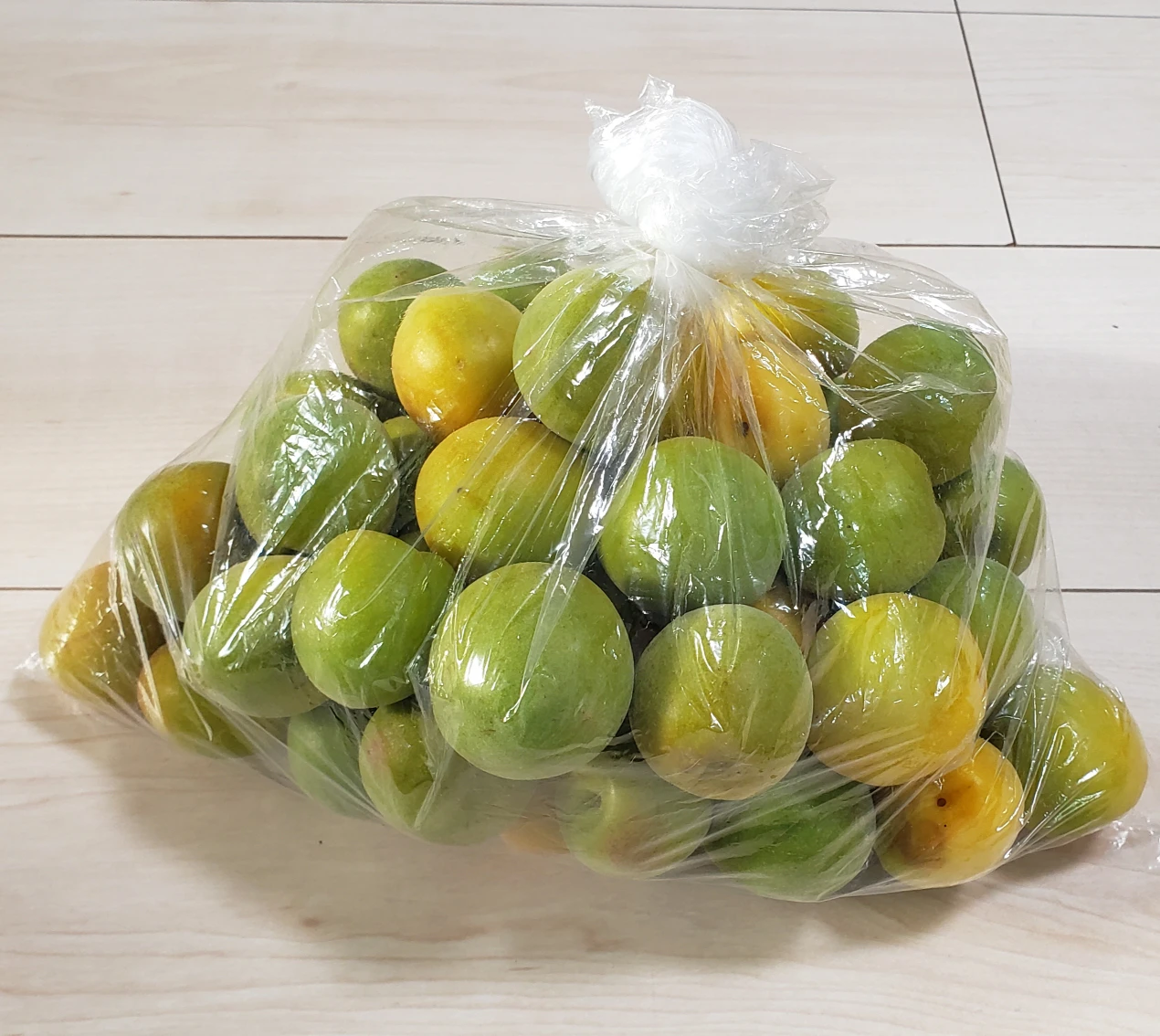 うめ　採れたて　約1.5kg