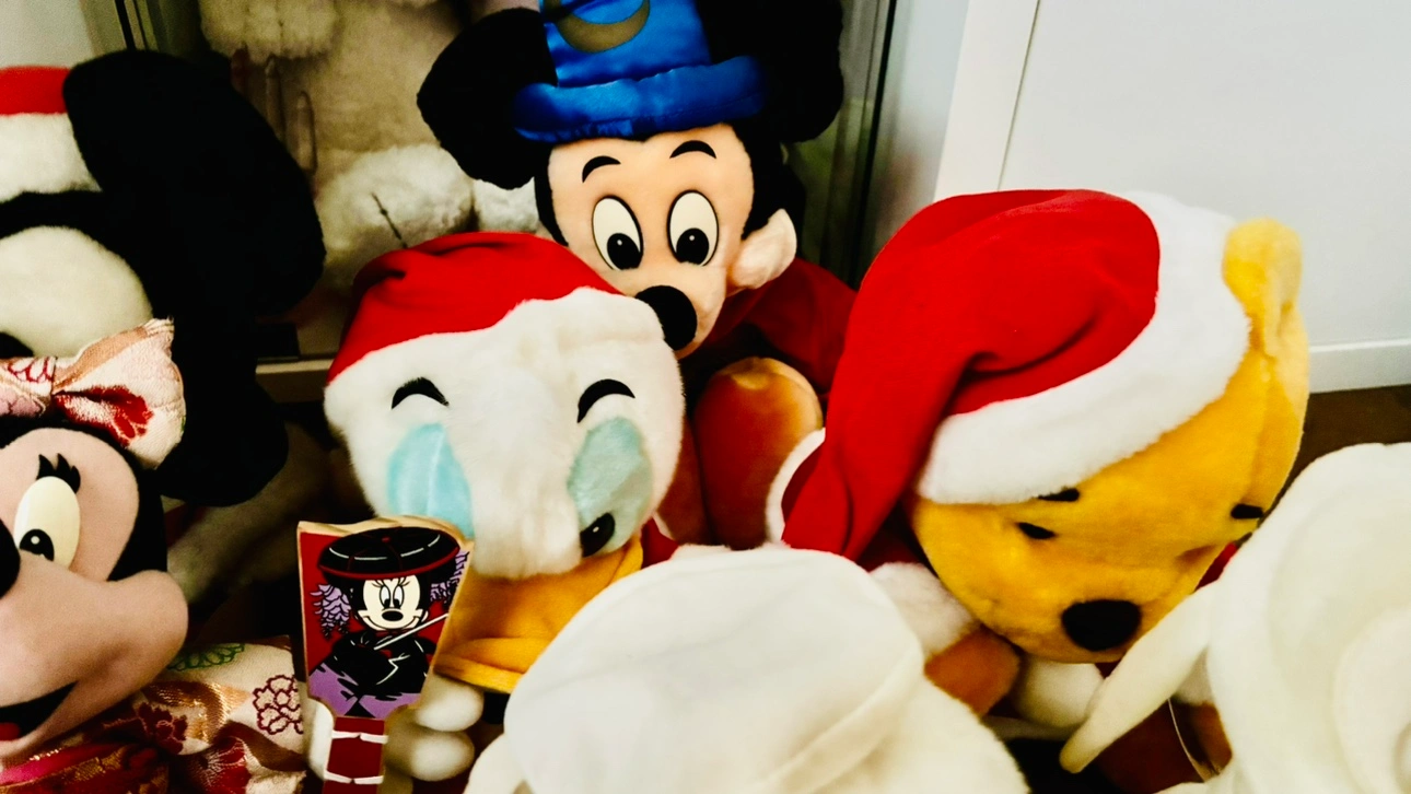 ディズニーランド ぬいぐるみ 年代物 14体 レアの写真4枚目