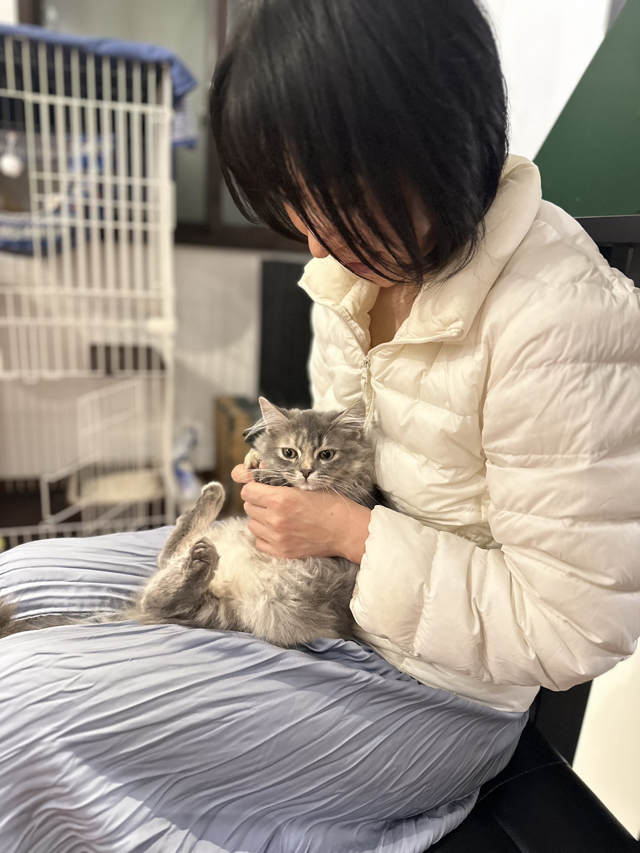 ネコゲージの写真3枚目