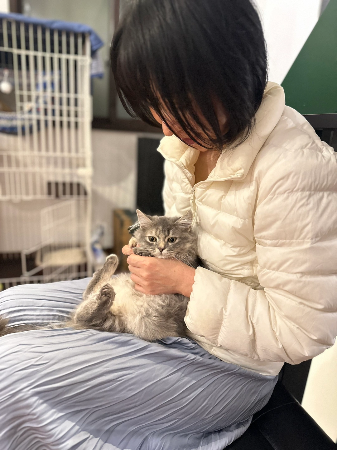 ネコゲージの写真3枚目