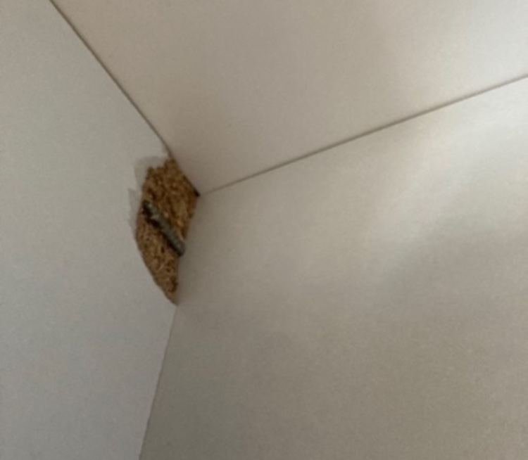 本棚2個（破損箇所あり）の写真3枚目
