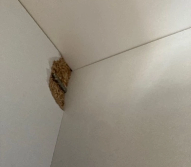 本棚2個(破損箇所あり)の写真3枚目