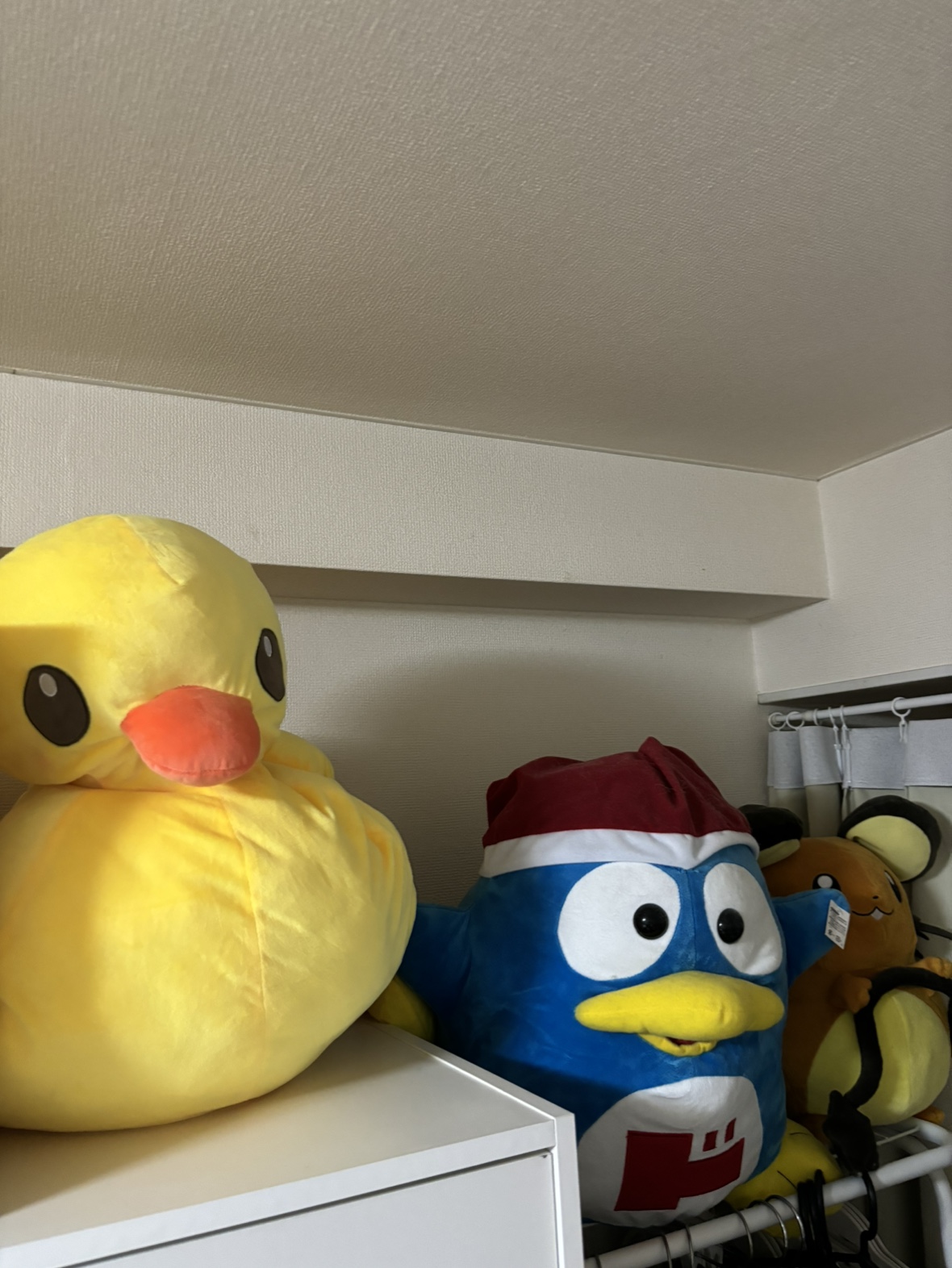 ドンペンの写真2枚目