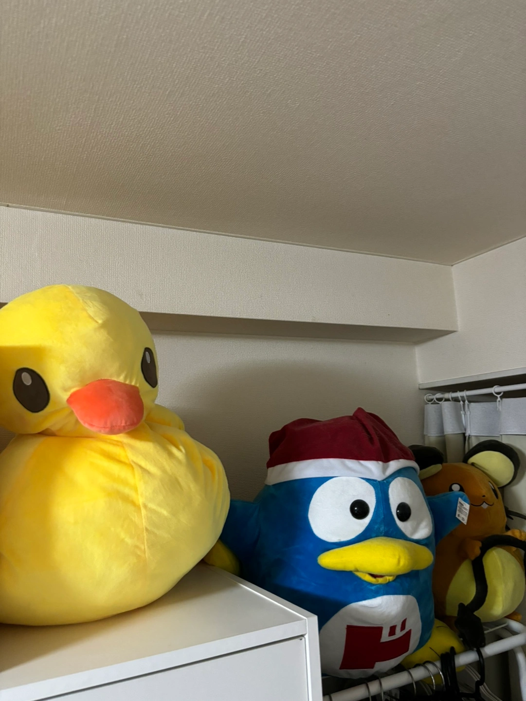 ドンペンの写真2枚目