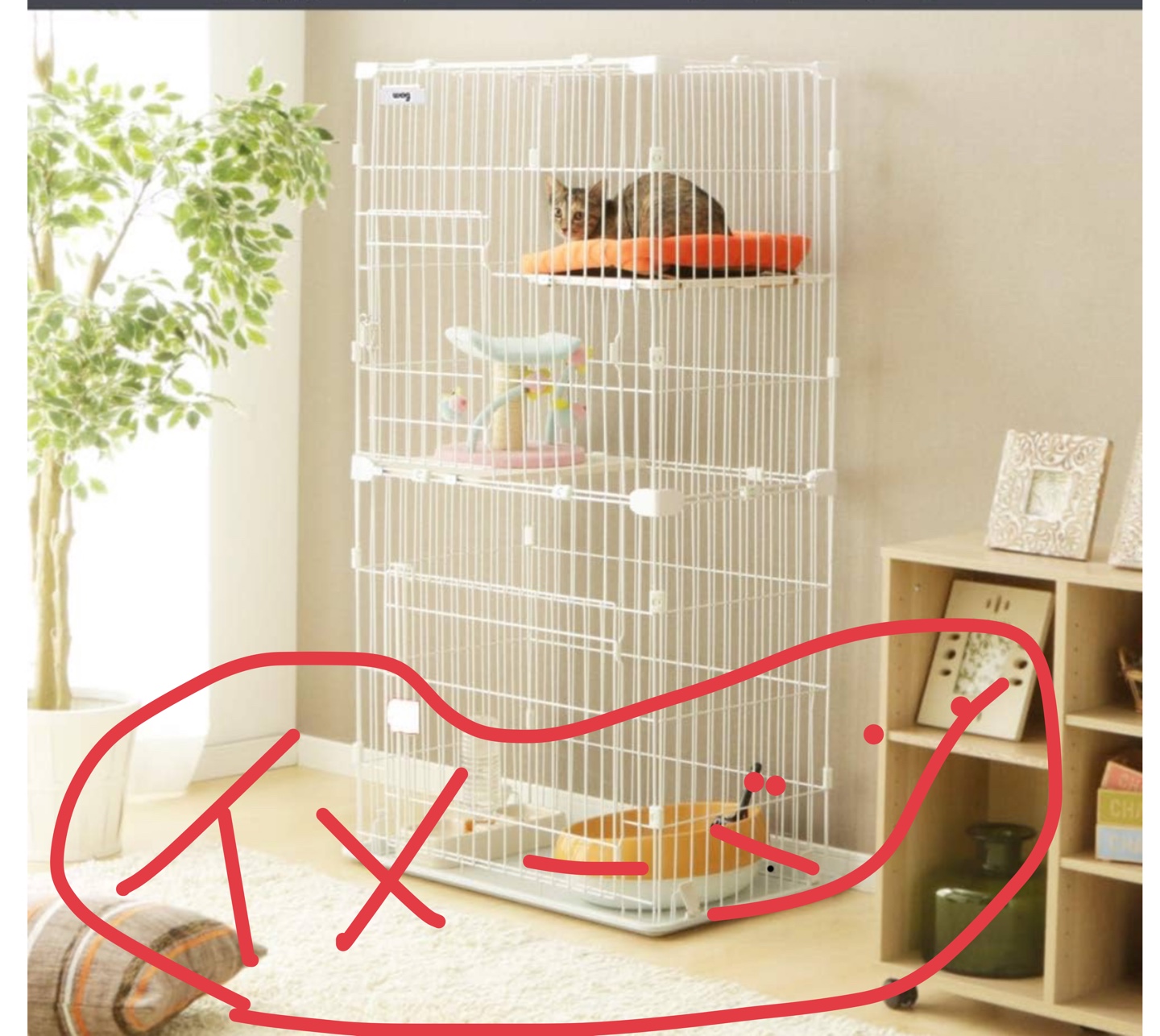 ネコゲージの写真6枚目