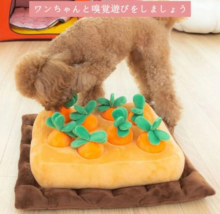 にんじん畑 犬のおもちゃの写真2枚目