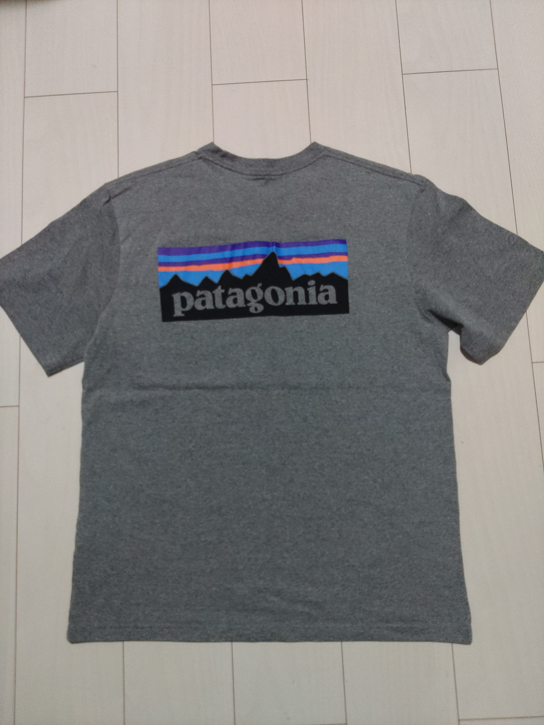 patagonia　Tシャツ