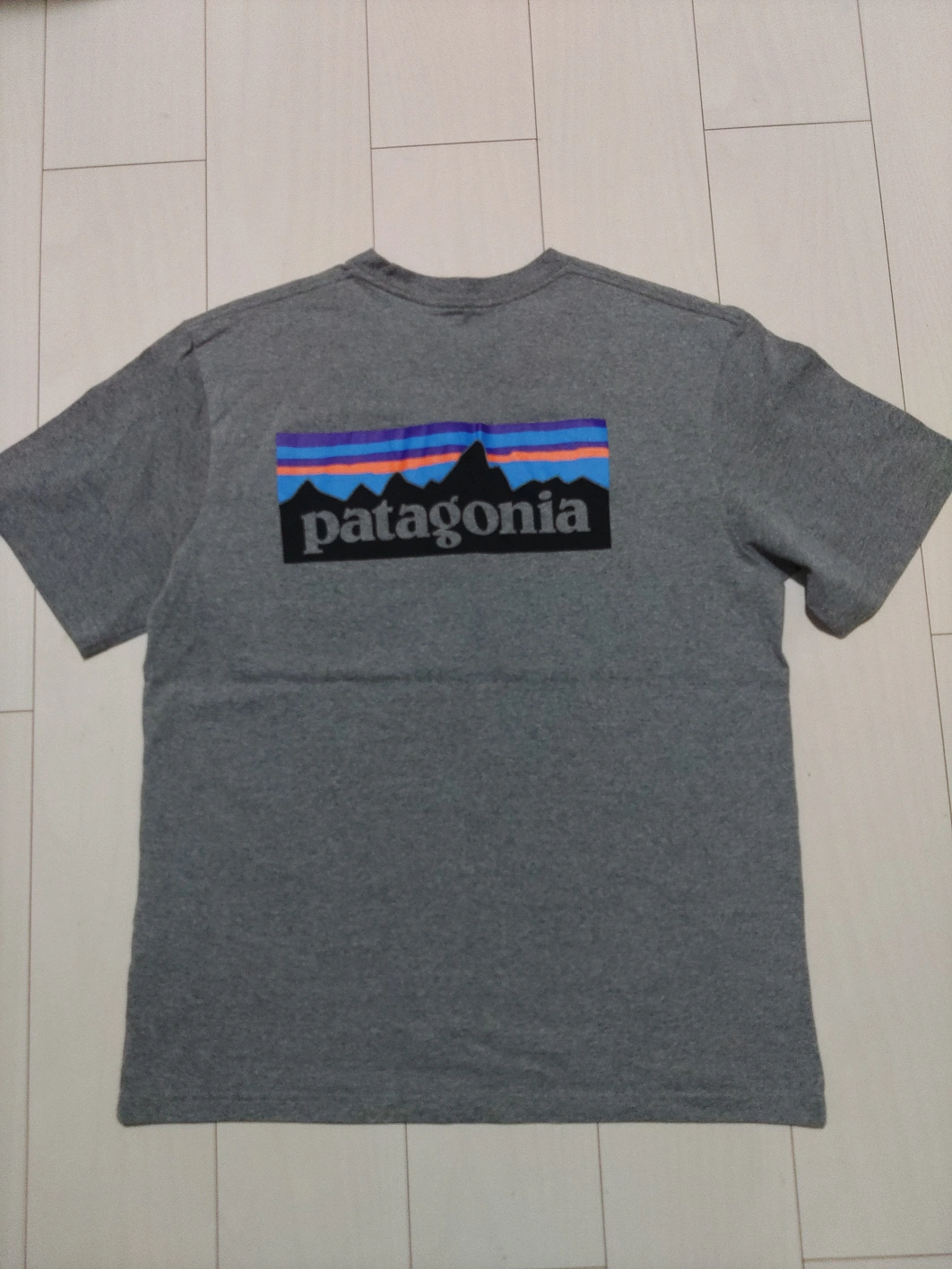 patagonia Tシャツ