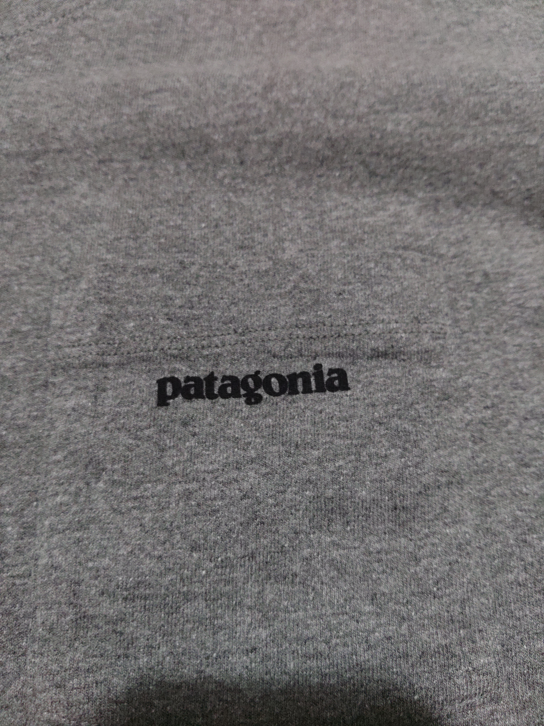 patagonia　Tシャツの写真3枚目