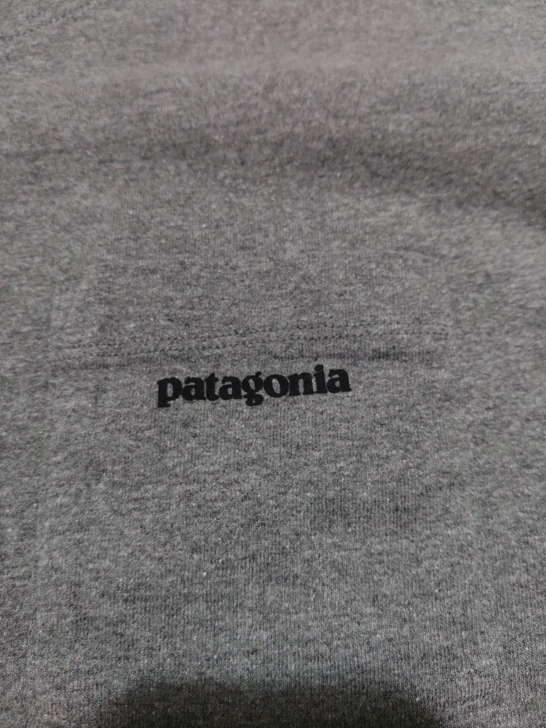 patagonia Tシャツの写真3枚目